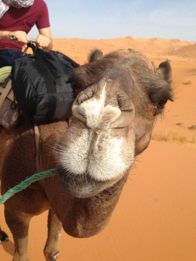 Desert Camel Trekking Camp Merzouga Exterior foto